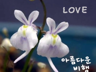 방송방 이미지
