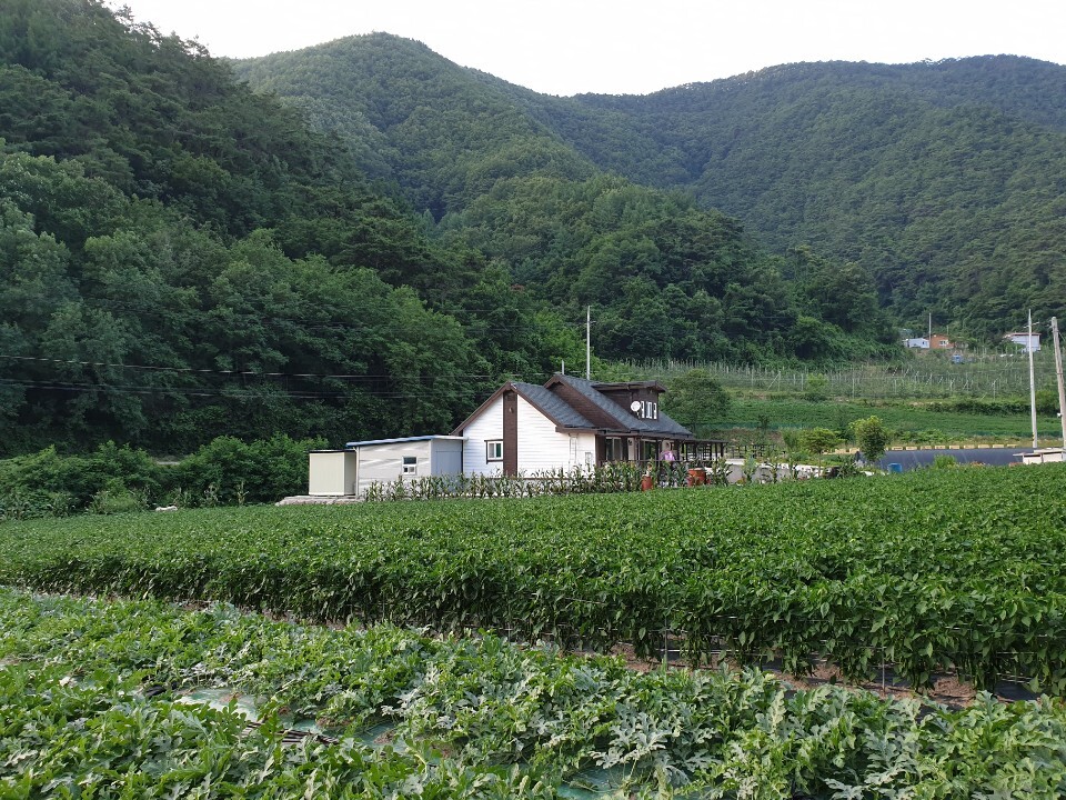 방송방 이미지