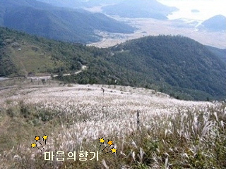 방송방 이미지