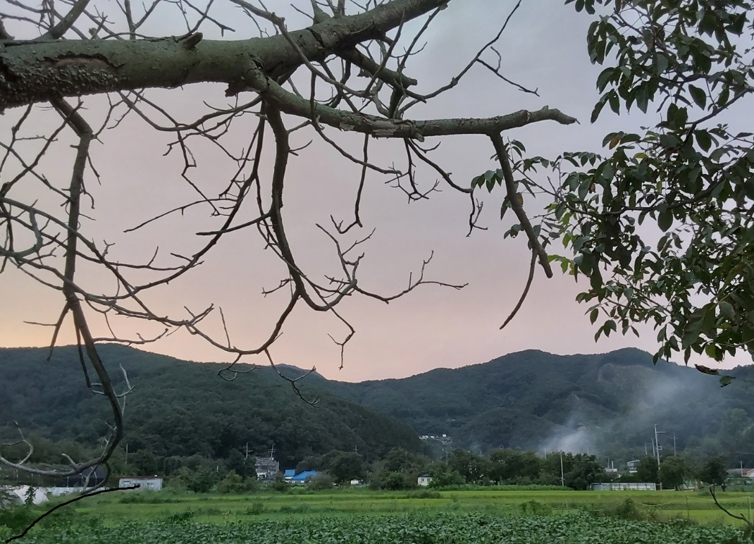 방송방 이미지