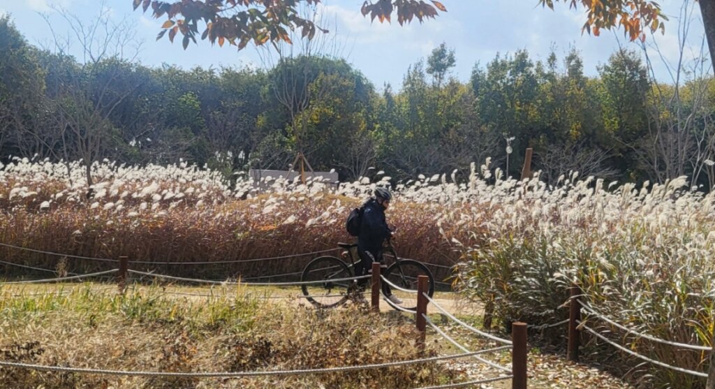 방송방 이미지