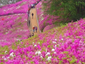 방송방 이미지